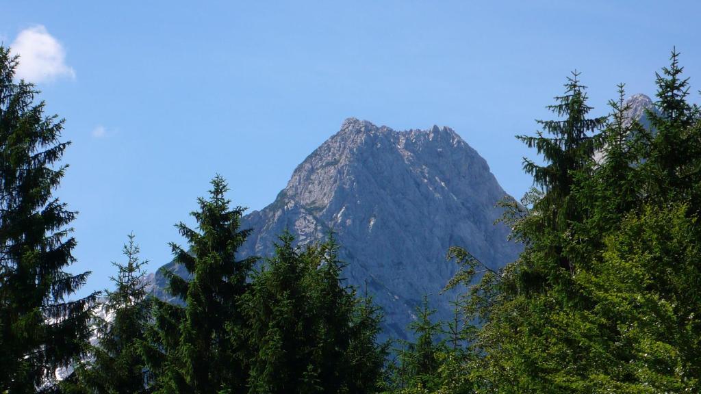 Gaestehaus Buchenhof Daire Grainau Dış mekan fotoğraf